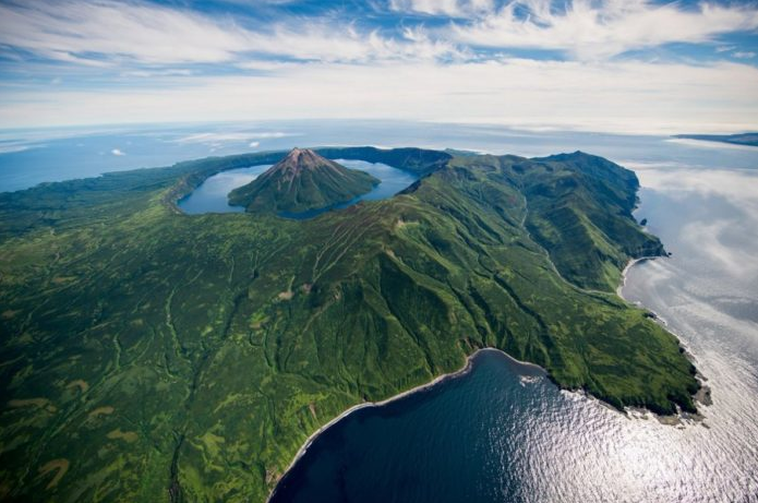 Добавьте описание