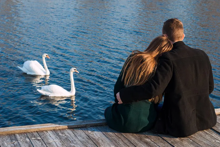 Яндекс Каритинки