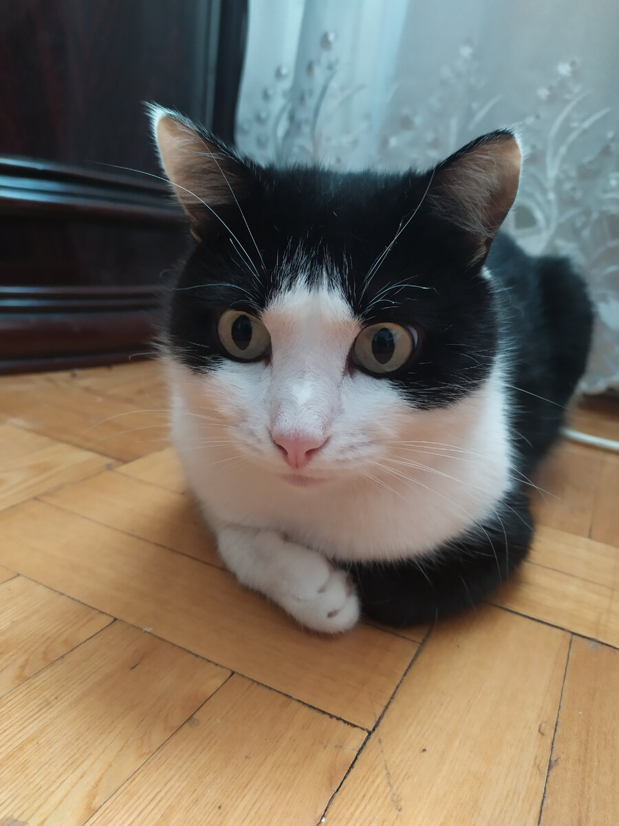 Кому я нужен?
