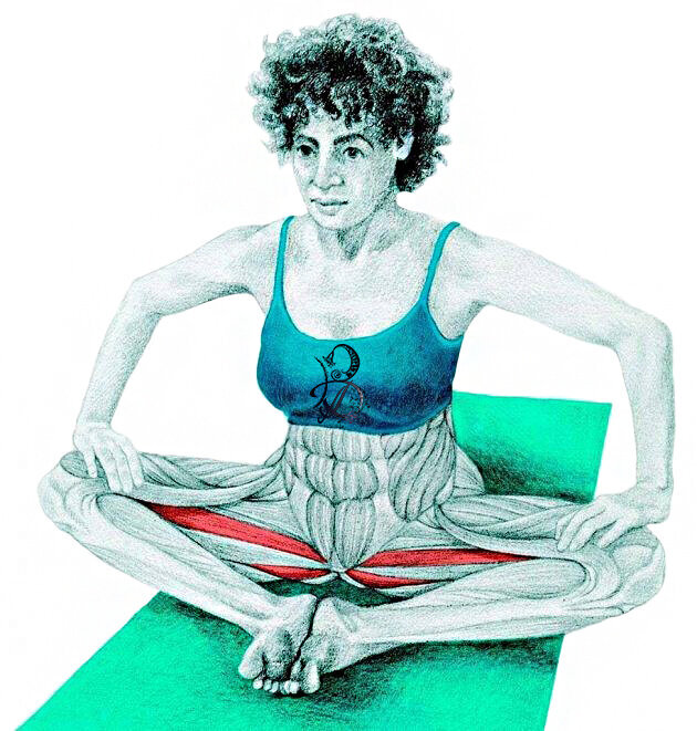 «Баддха Конасана» или упражнение «Бабочка».