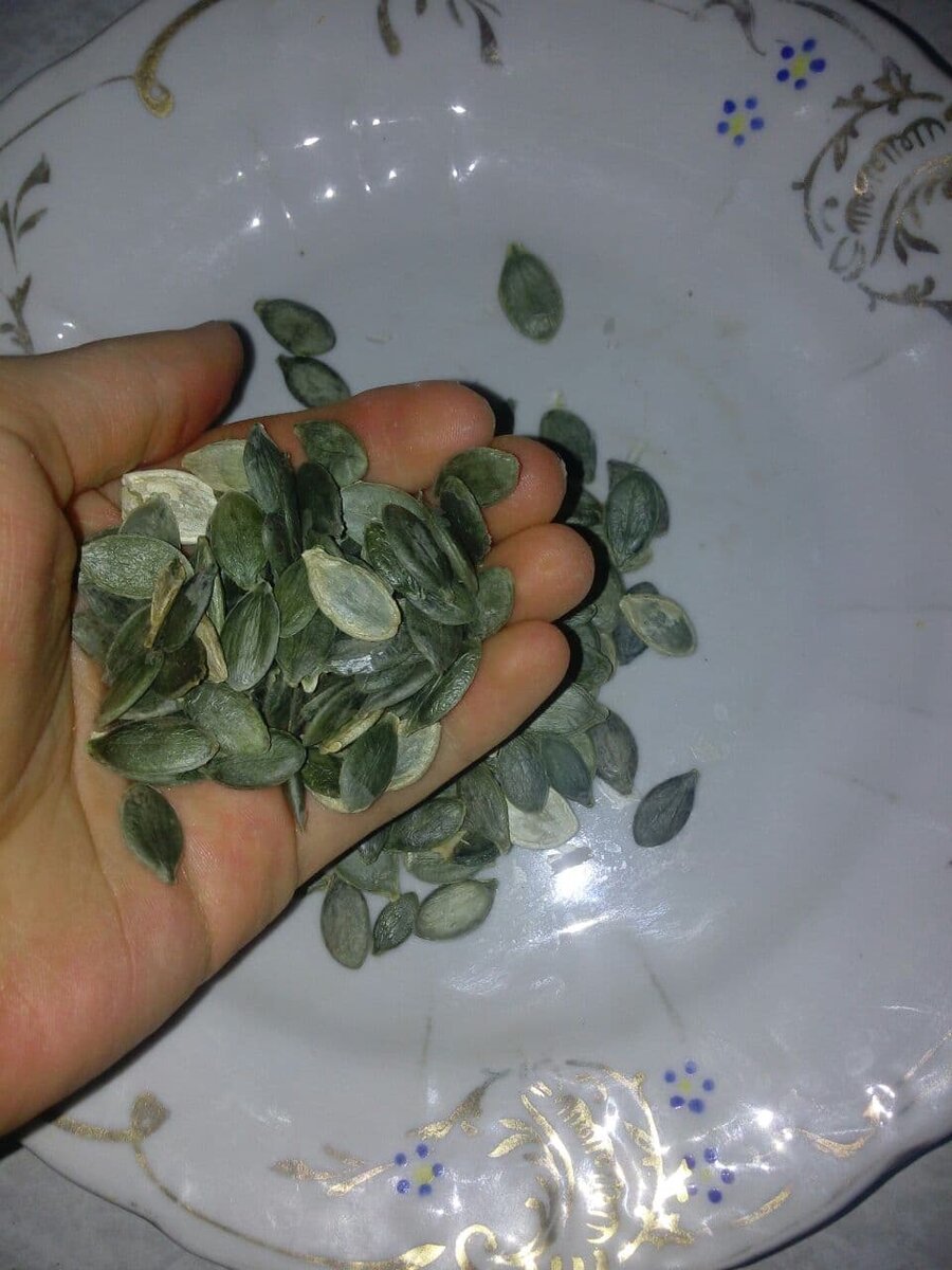 Голосемянные семена тыквы содержат на двадцать процентов цинка больше обычных в кожуре