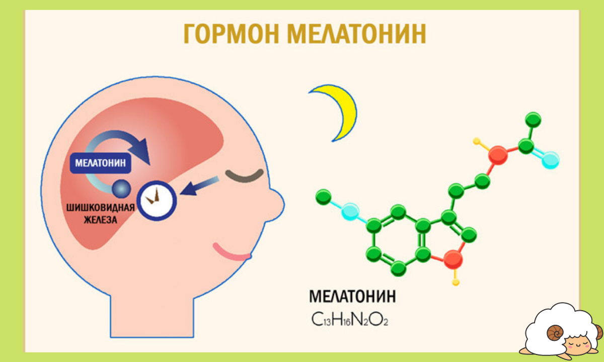 Что влияет на выработку. Мелатонин гормон. Мелатонин гормон сна. Гормон мелатонин синтезируется в:. Выработка гормона мелатонина.