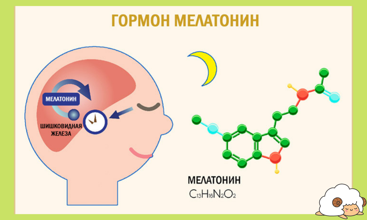 Мелатонин гормон. Мелатонин гормон сна. Гормон мелатонин синтезируется в:. Мелатонин гормон сна вырабатывается.