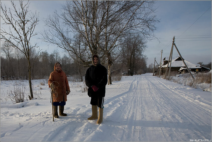 Яндекс-фото