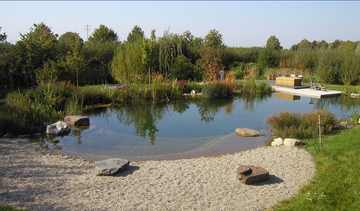 яндекс картинки