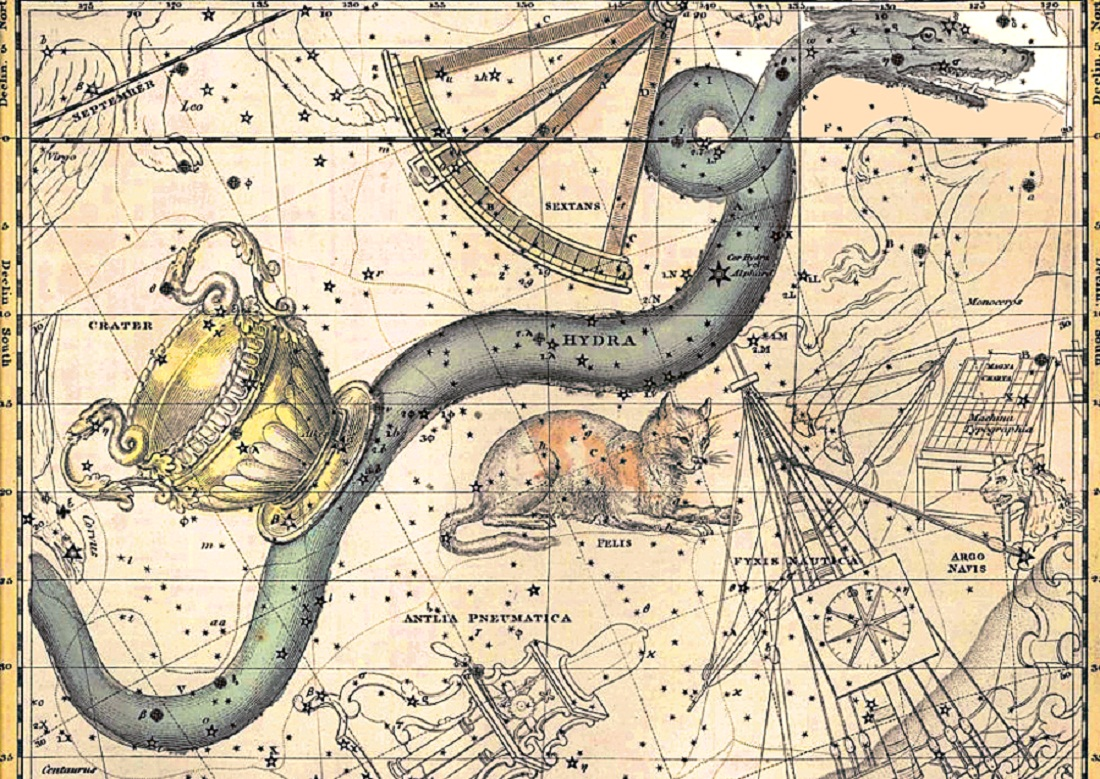 Созвездие Кошка под созвездием Гидра