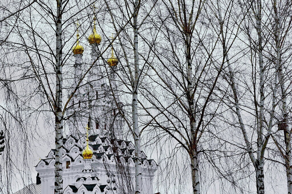 Вязьма, церковь Одигитрии (все фото статьи авторские)
