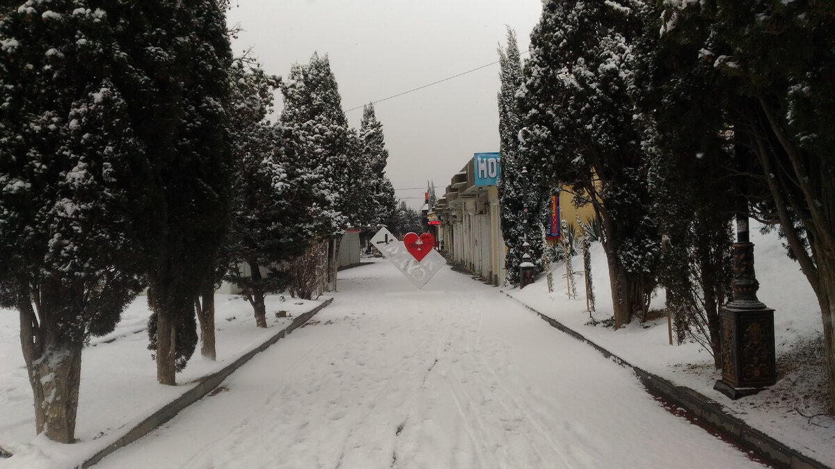 Начало Кипарисовой Аллеи