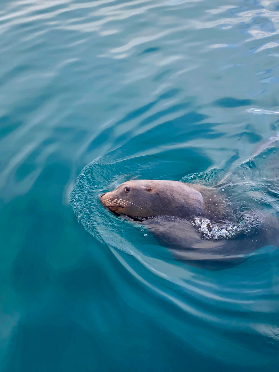 Фото: https://www.instagram.com/mironov.travel