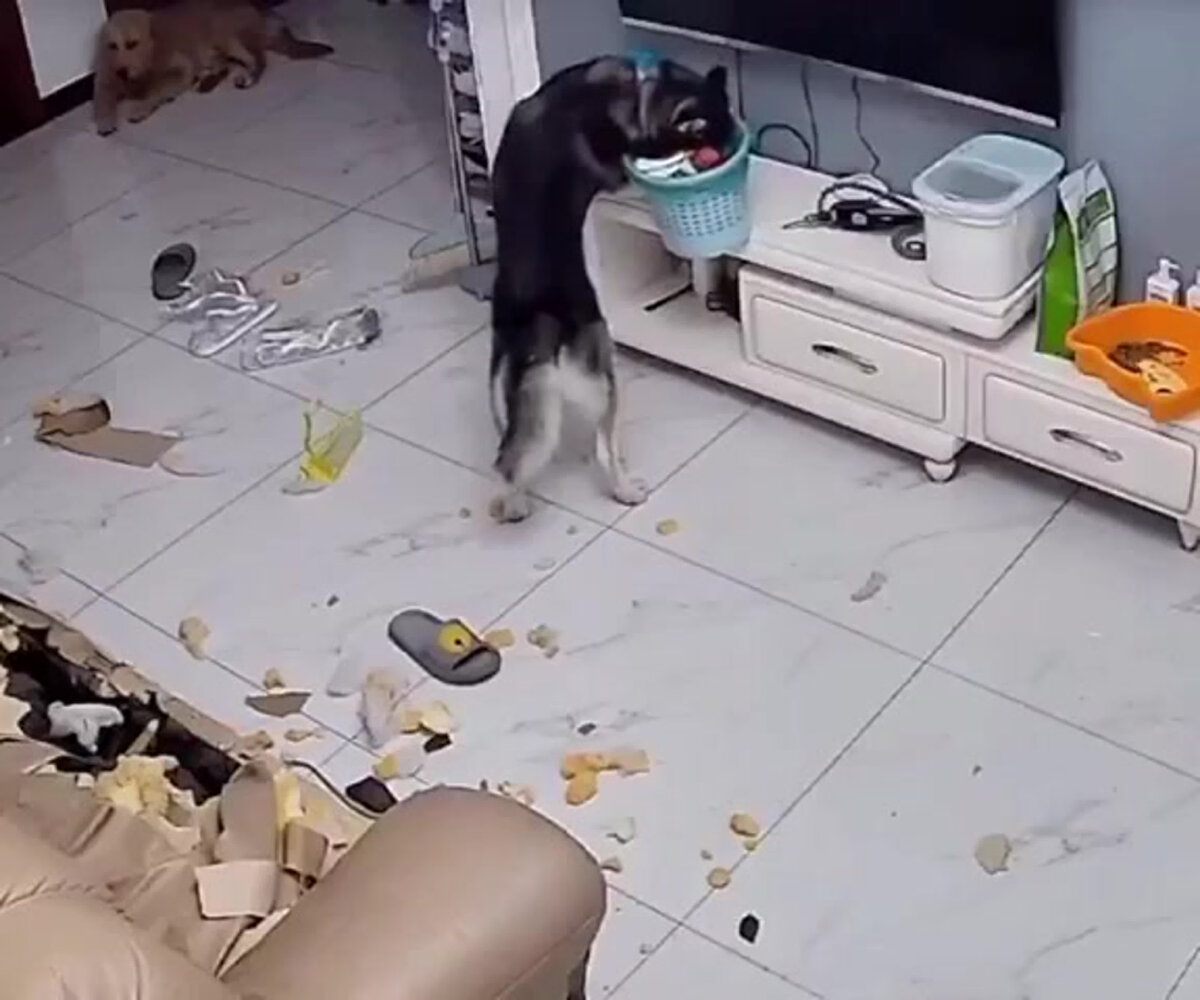 Actionviewphotography