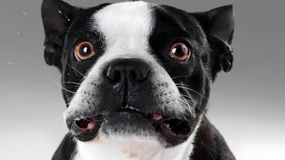 фото взято из интернета из свободного доступа, без нарушения авторских прав.