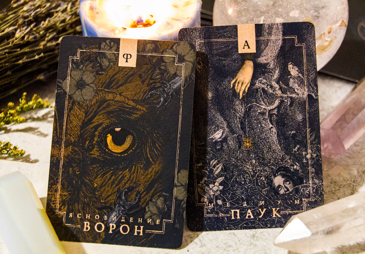 Амилика таролог отзывы. Way Home Tarot галерея. Таро жизни. Адохновляющая Вика оракул отзывы форум.