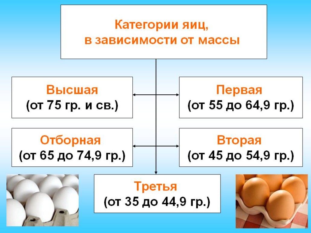 Средний вес яйца первой категории. Классификация куриных яиц по массе таблица. Классификация яиц в зависимости от массы. Классификация и маркировка яиц. Категории яиц куриных.