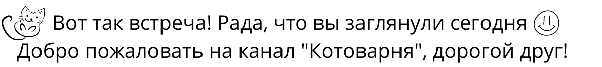 "Потеряшки" или как найти пропавшего питомца: 5+ важных нюансов, о которых стоит знать каждому владельцу😺🏠