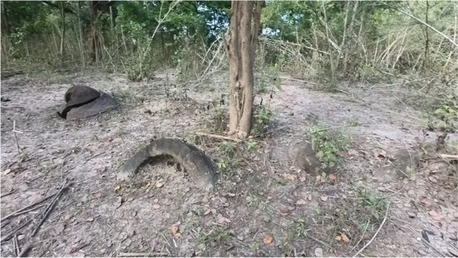 Сосуды, найденные в Таймхолинге, Индия