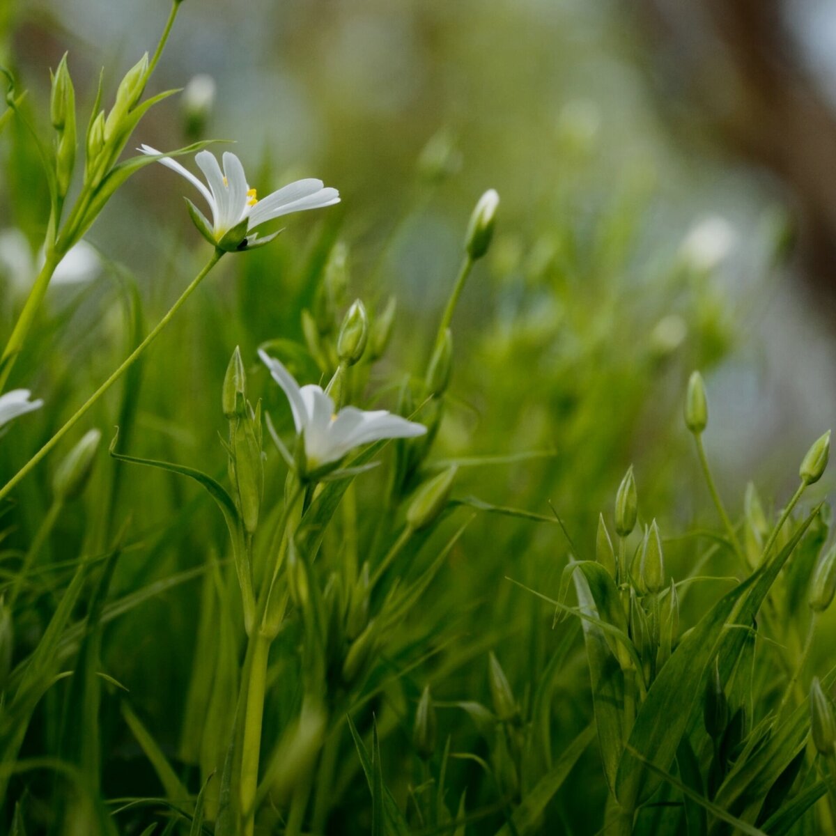 Для обложки 