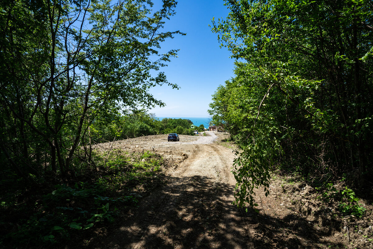 Задача для продажи земельного участка инвестору второго порядка подготовить презентацию-расчет инвестиционного роста. Для презентабельности возможна планировка территории и подвод электроснабжения. 