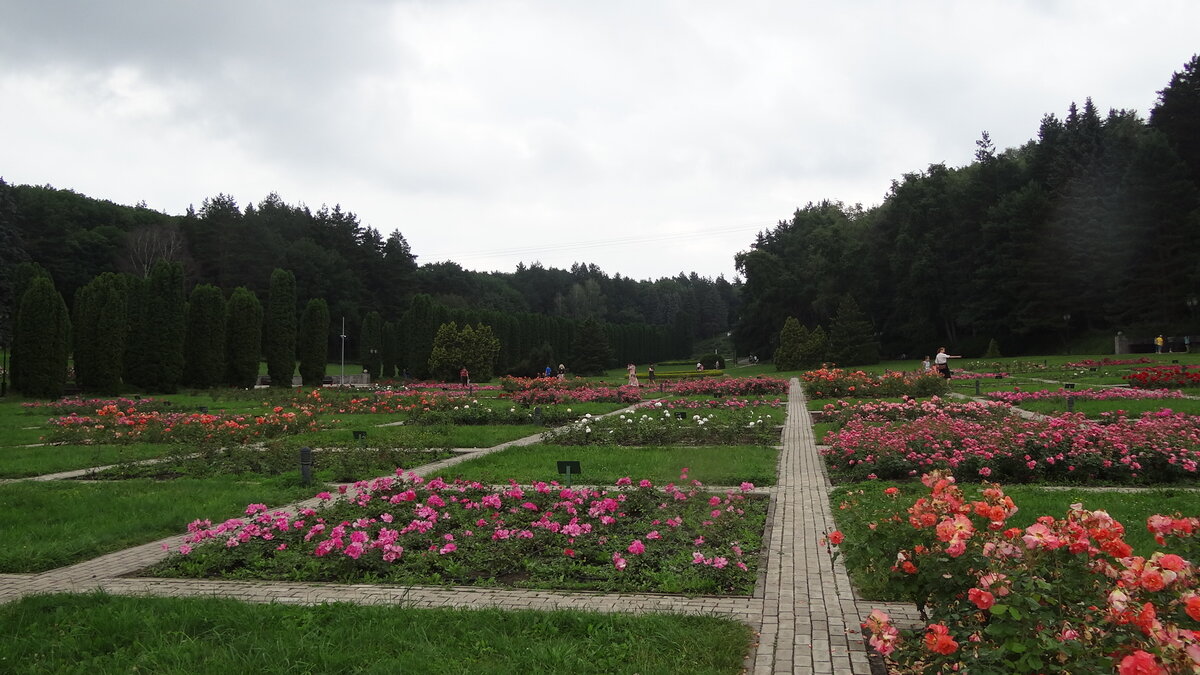 Долина Роз (Кисловодск)