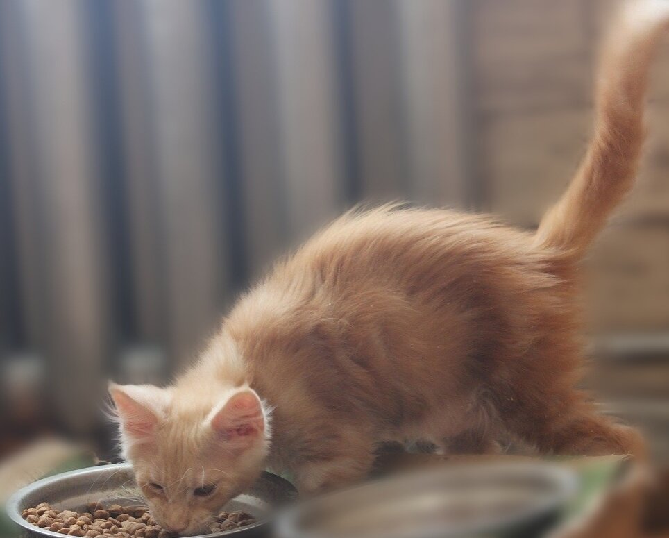 Фото из нашего архива. Брют.