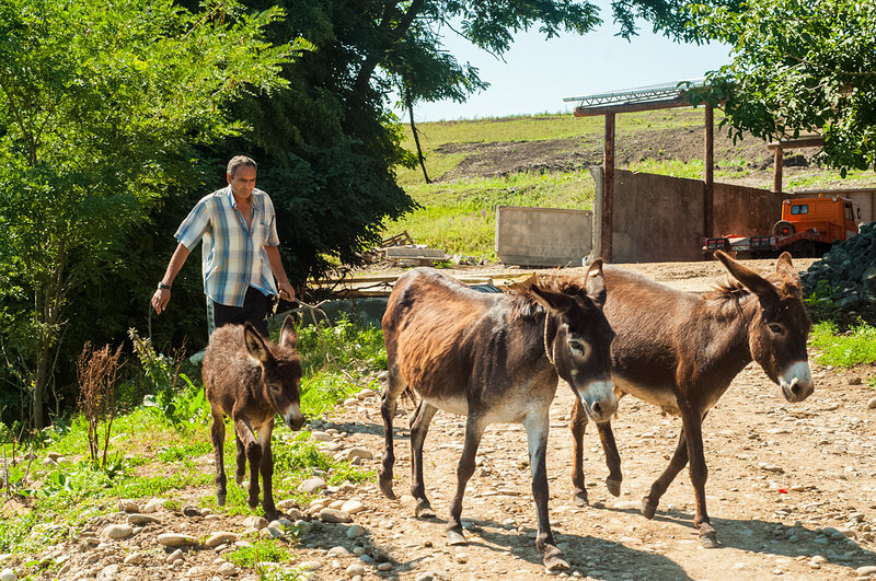 Фото: Никита Тереклинский 
