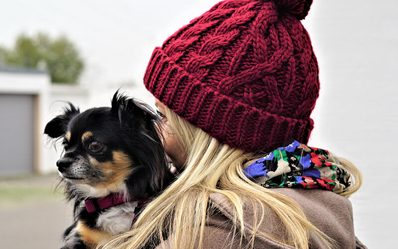 Спонтанная похвала, то есть высказанная, когда собака ничего не делает, это большая редкость, Фото Myléne/Pixabay 