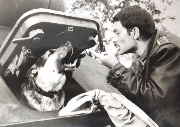 Интересные моменты со съемок сериала "4 танкиста и собака". Почему его перестали показывать в Польше