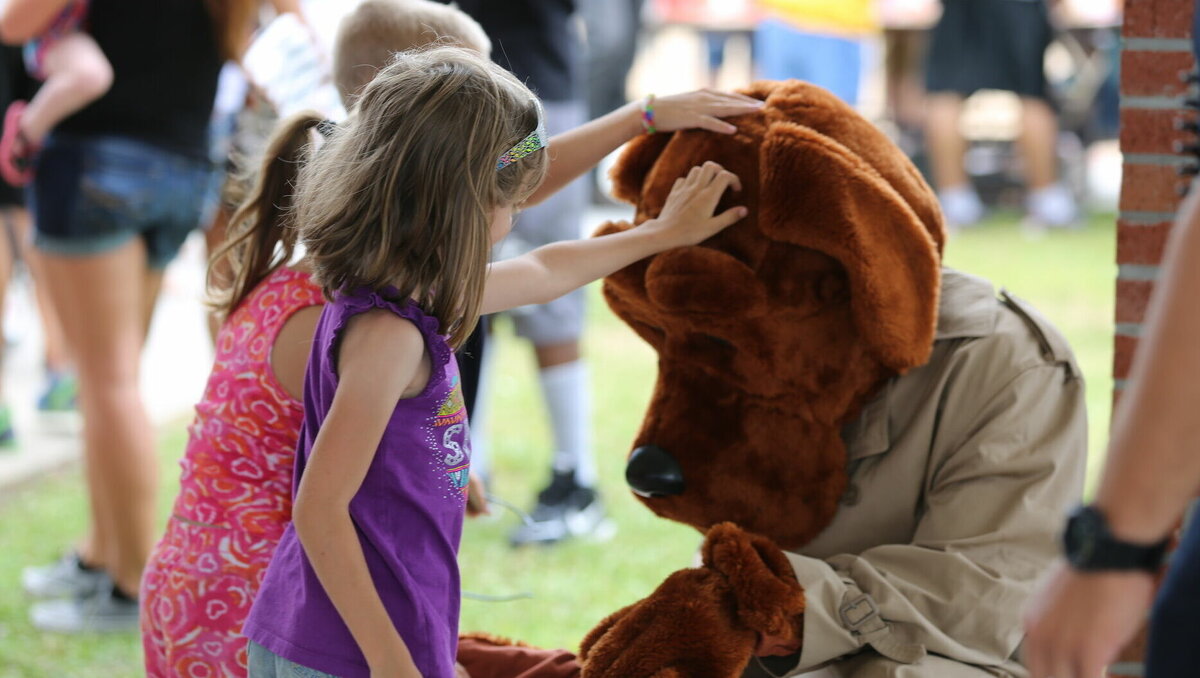     В Ростове власти решили потратить шесть миллионов рублей на содержание трех туалетов, тем временем суд признал мэрию виновной в нарушении прав местных жителей на «достойную жизнь», а для центра безнадзорных животных выделили почти пять гектар земли.
