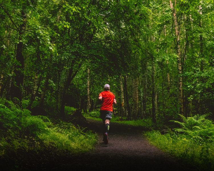 After Run Forestry