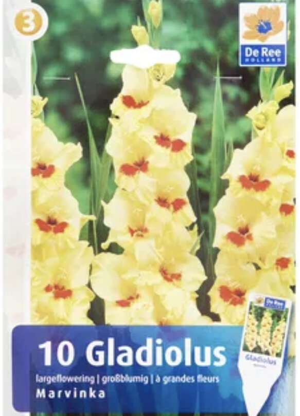 Сорт Марвинка, я их покупал пытаясь воссоздать цветы из детской памяти