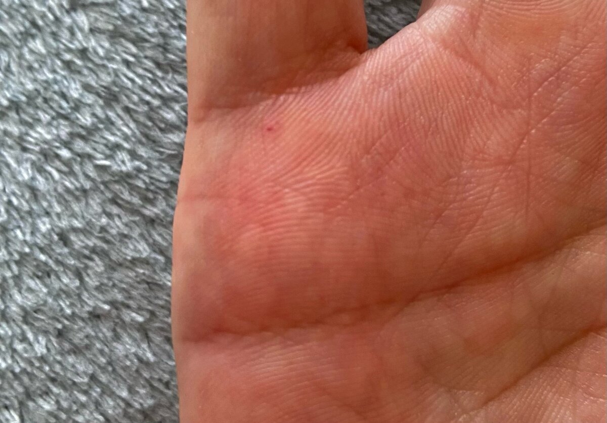 фотография без выделения