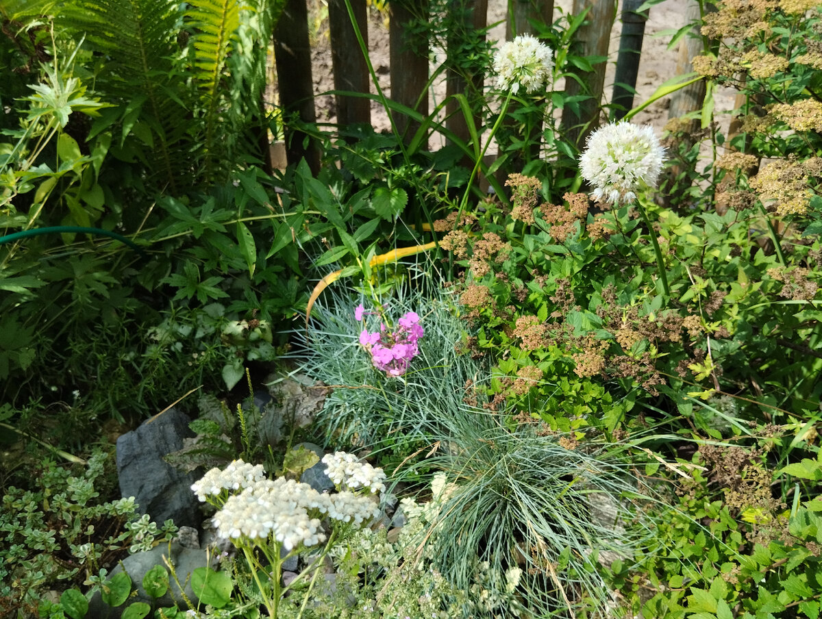 На краю Несерьезного рокария