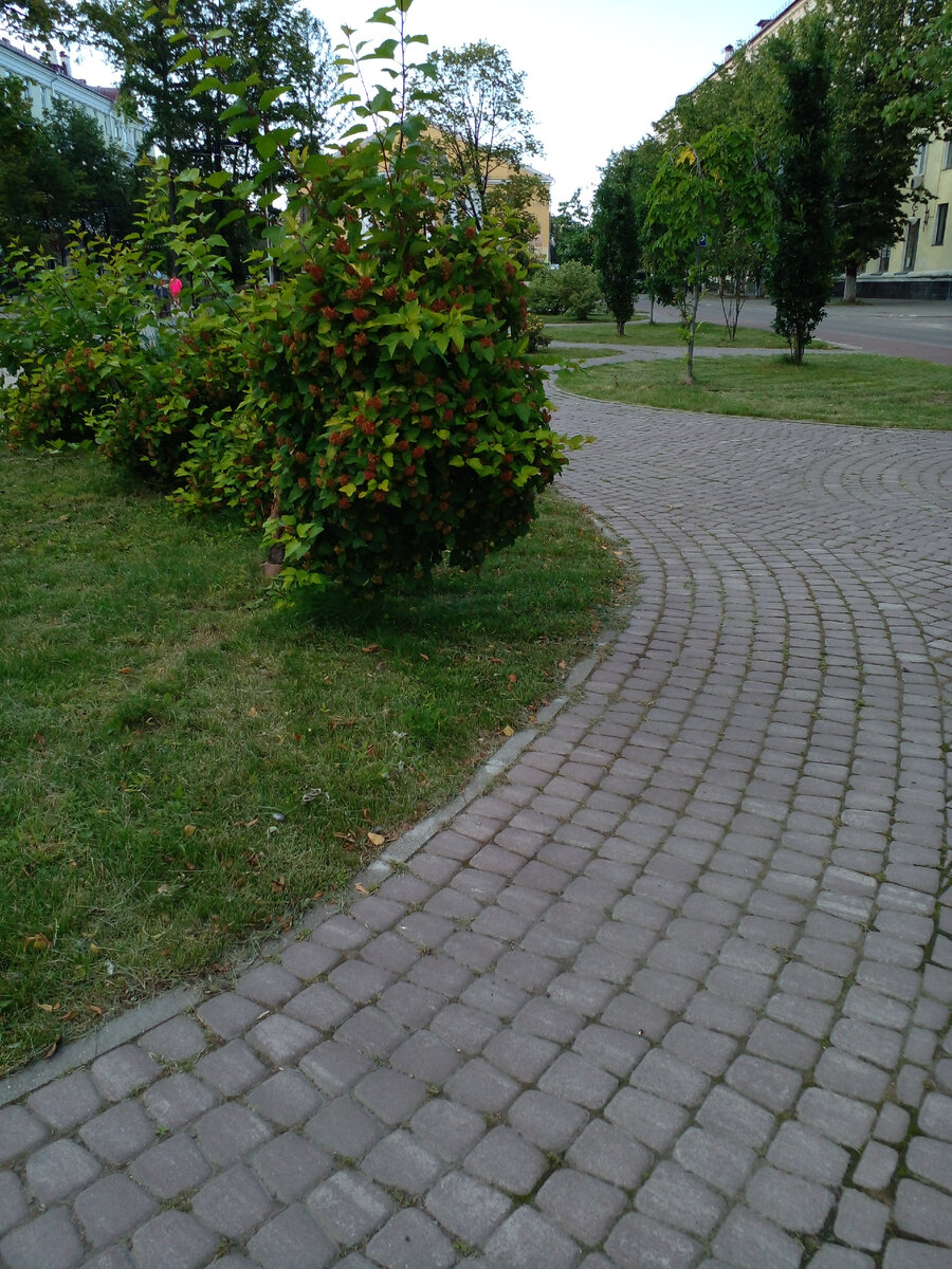 личное фото Смирновой Н.Е