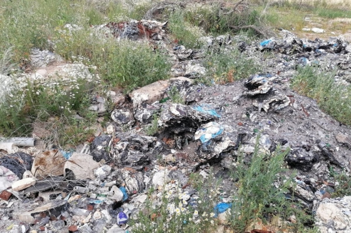    Прокуратура требует от горадминистрации убрать мусор в Гусь-Хрустальном