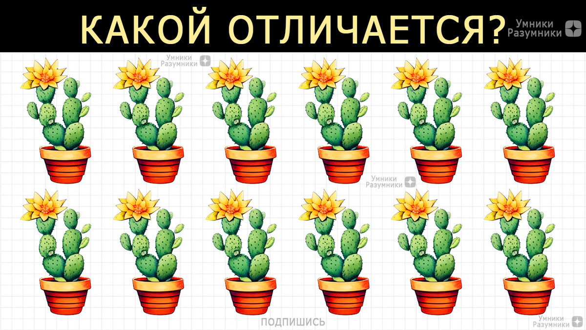 Найди одно отличие