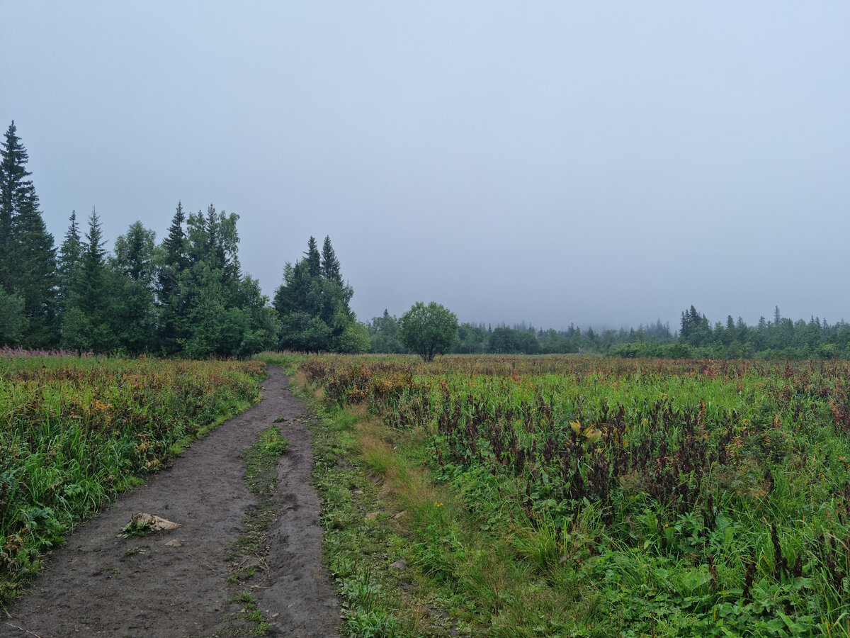 Дорога к горам