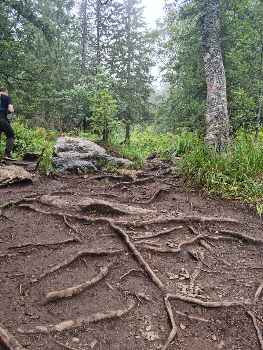 Начало подьема, впереди курумник