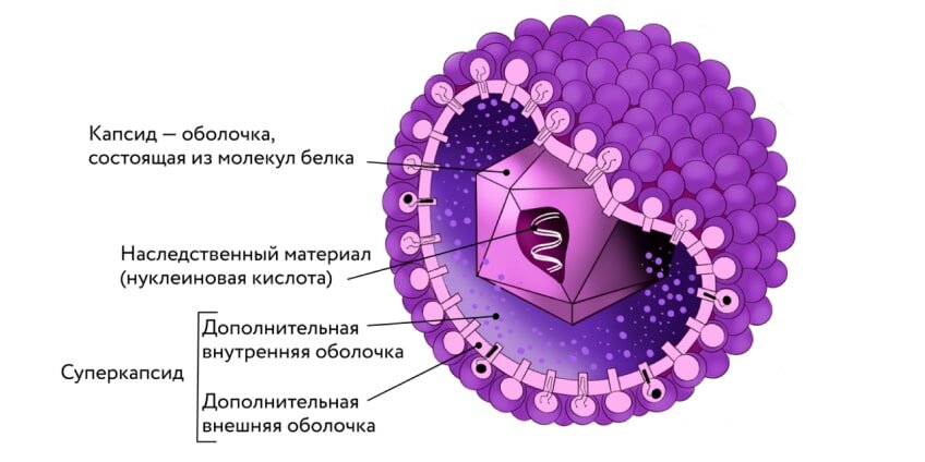 Мобильная вирусология | Securelist