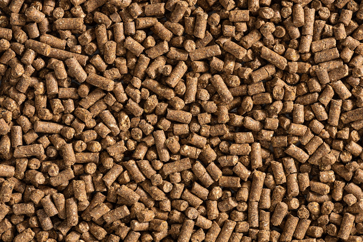 Корм пурина для цыплят бройлеров. Гранулированный корм для животных. Комбикорм богданович пк6 размер. Комбикорм пурина для бройлеров. Отруби для свиней.