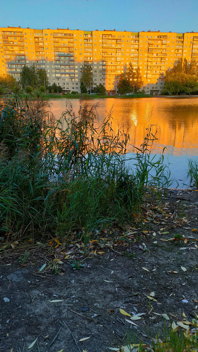Фото автора 