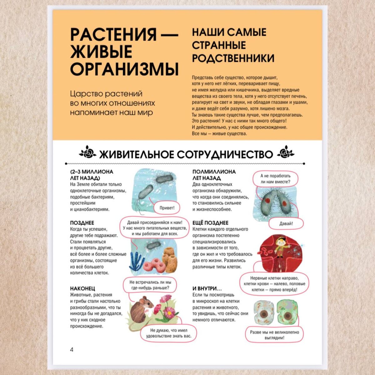 Гелена Гараштова. Язык растений. Понимаем, как общаются растения (Фолиант, 2023). Иллюстрации Дарьи Беклемешевой.