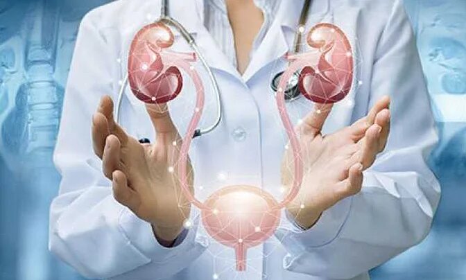 "Я подозреваю, что у меня что-то с почками" Какие первые симптомы и какие надо сдать анализы, пока не стало поздно?