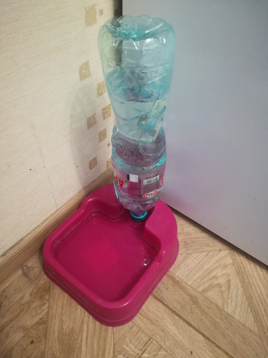 Такую поилку можно купить в зоомагазине. Котику удобно пить, а Вам не надо проверять наличие воды несколько раз в день.