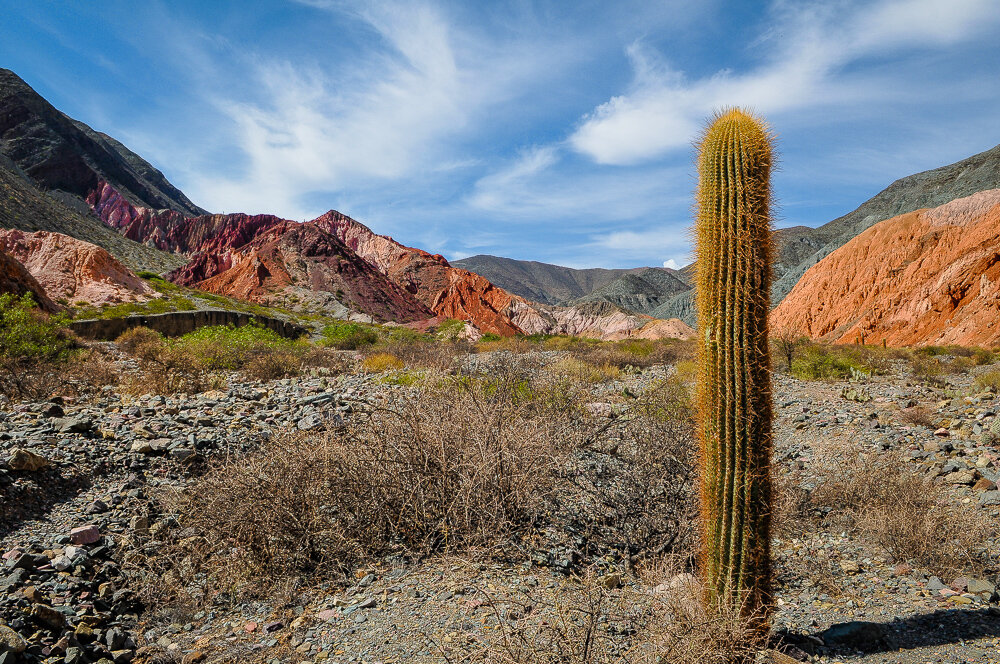 ���������� ����������� �� ��������� ����� � ���������. � ������ ���� ��������� ��������� � ��������� ������� ����������, � ������� ��������� ���� �� ������� ��������� ����� - ����������� ����.-10