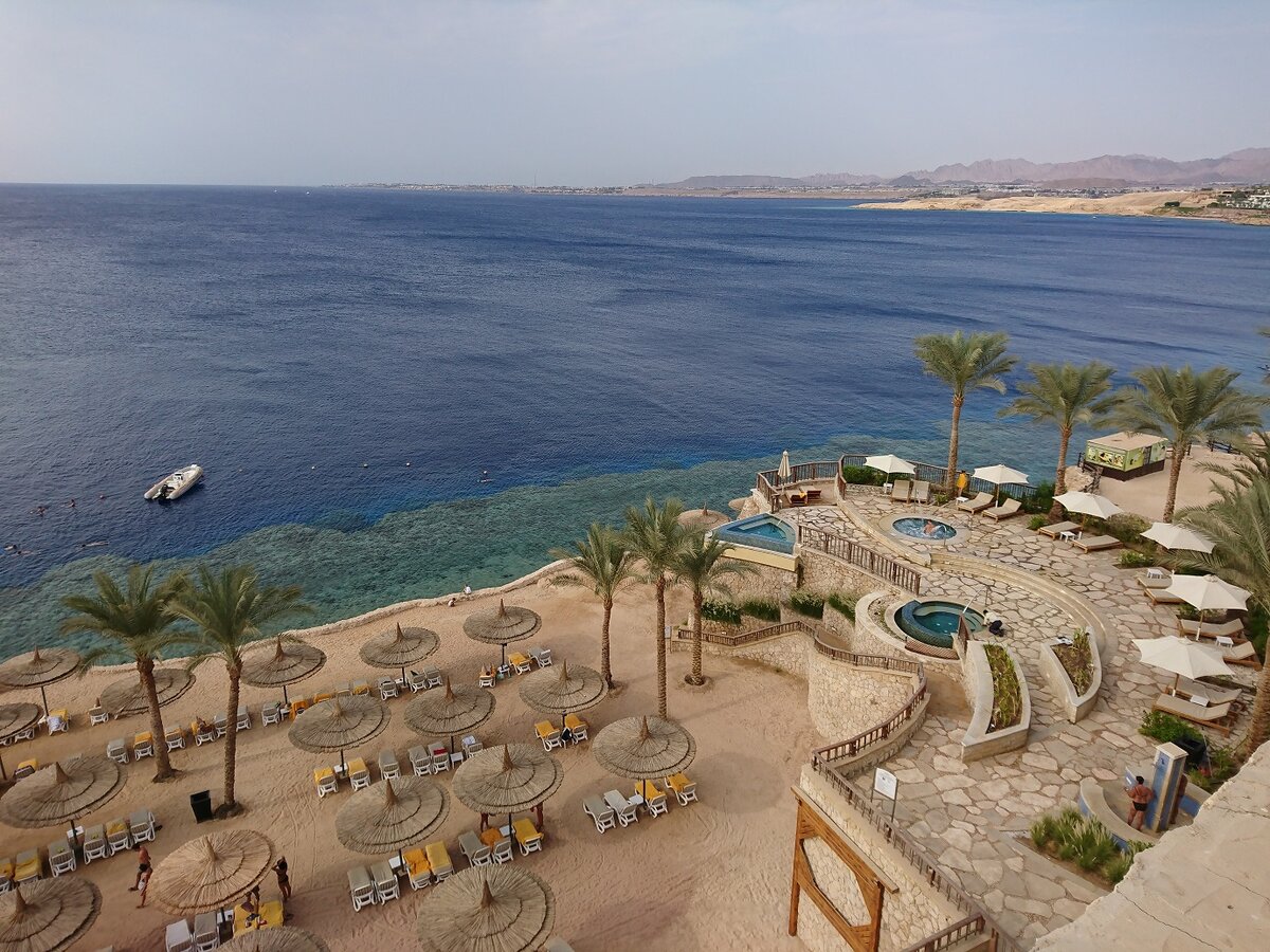 Reef oasis beach resort 4. Reef Oasis Шарм-Эль-Шейх. Риф Оазис Египет. Гранд Оазис Резорт Шарм-Эль-Шейх 4. Faraana Reef Resort.