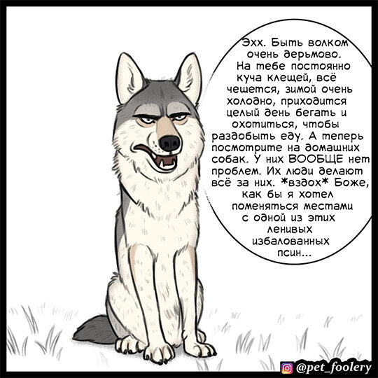 комиксы про 🐺 волков