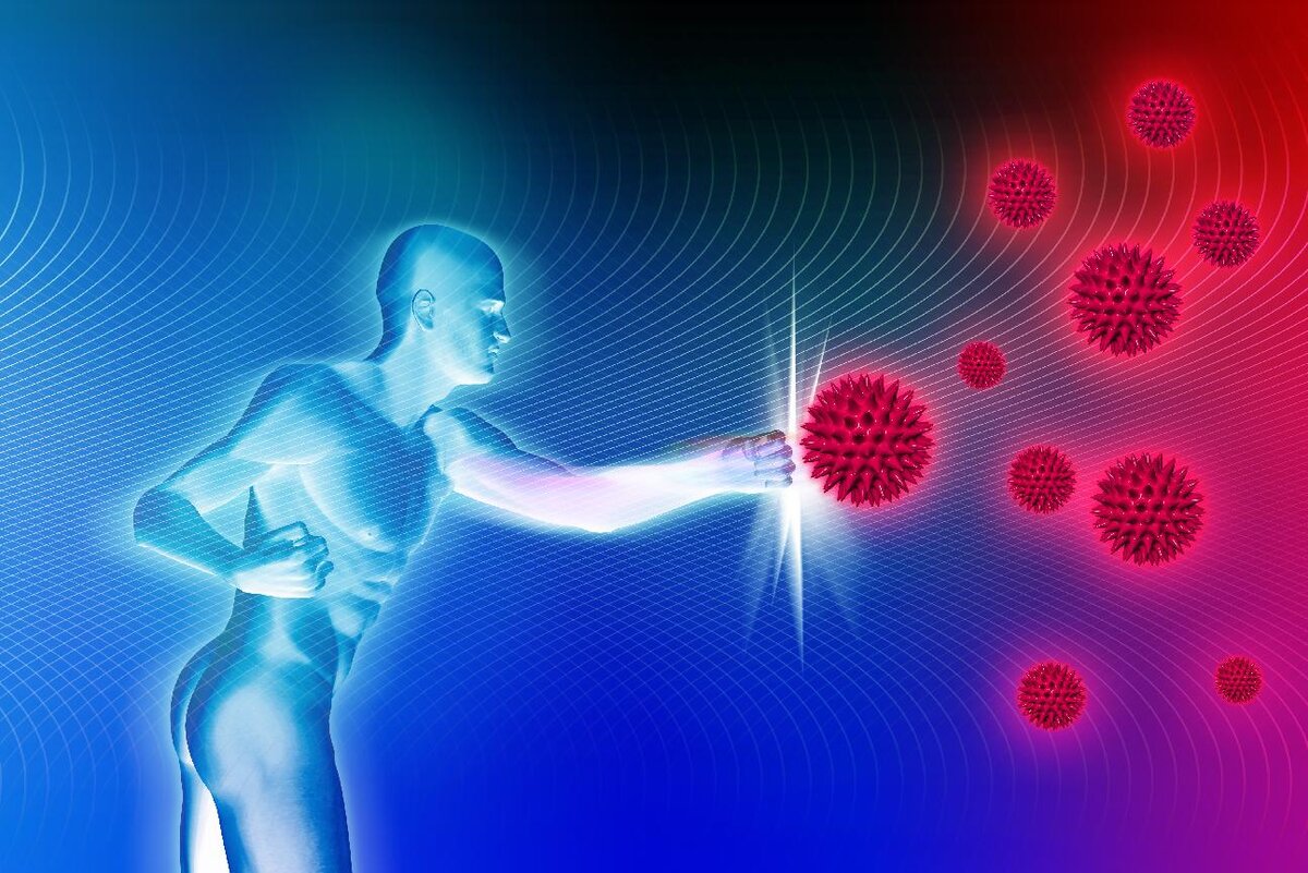 Изображение из yandex.ru