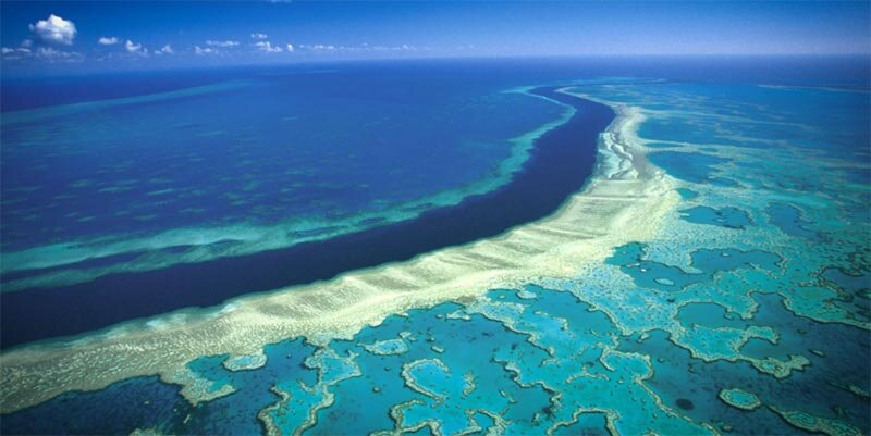 Большой барьерный риф, Австралия. Источник изображения: Яндекс. Картинки