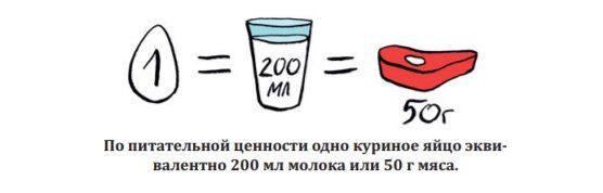    Яйца являются очень качественным и невероятно популярным продуктом среди спорстменов. Обыватели же узнав сколько яиц употребляют фанатики фитнеса, приходят в состоянии шока.