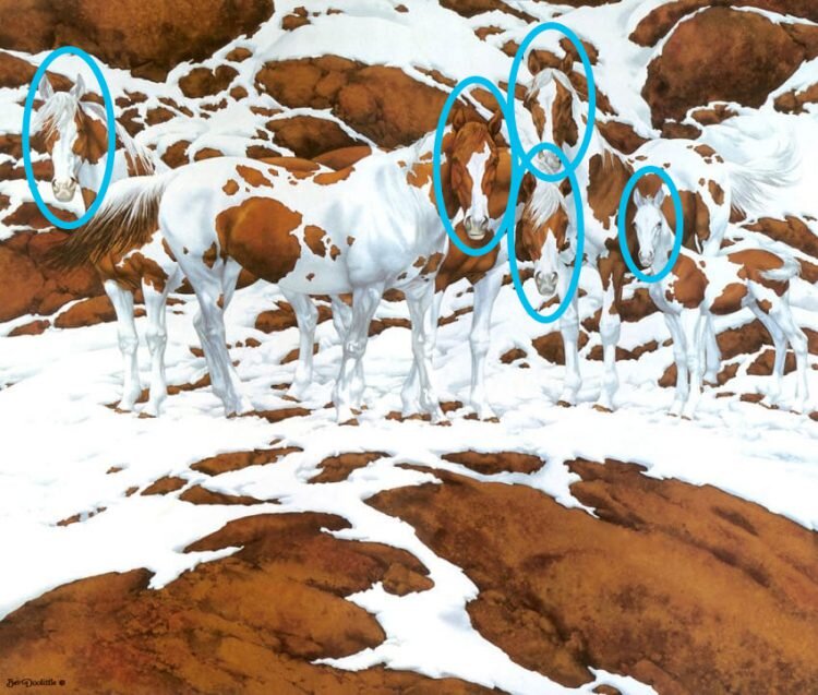 Источник: pozitivno.me