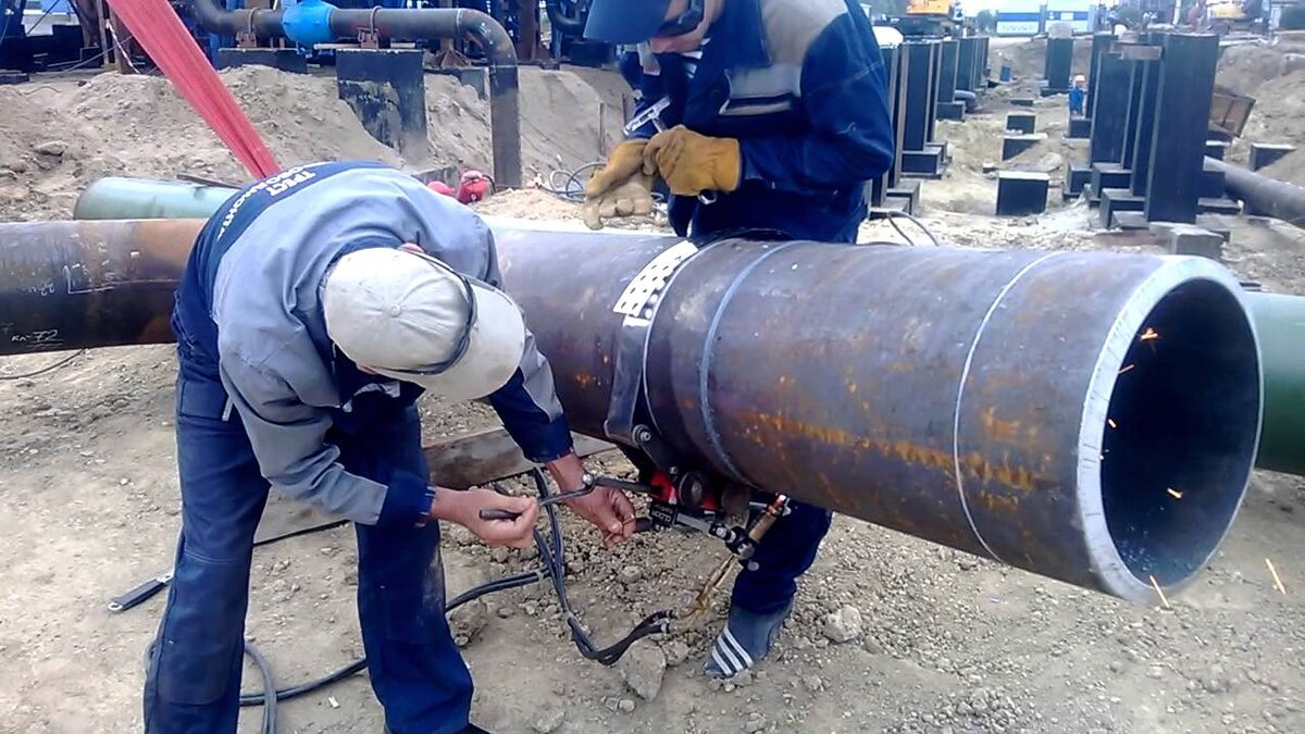 Фото взято из доступных источников в Интернете.